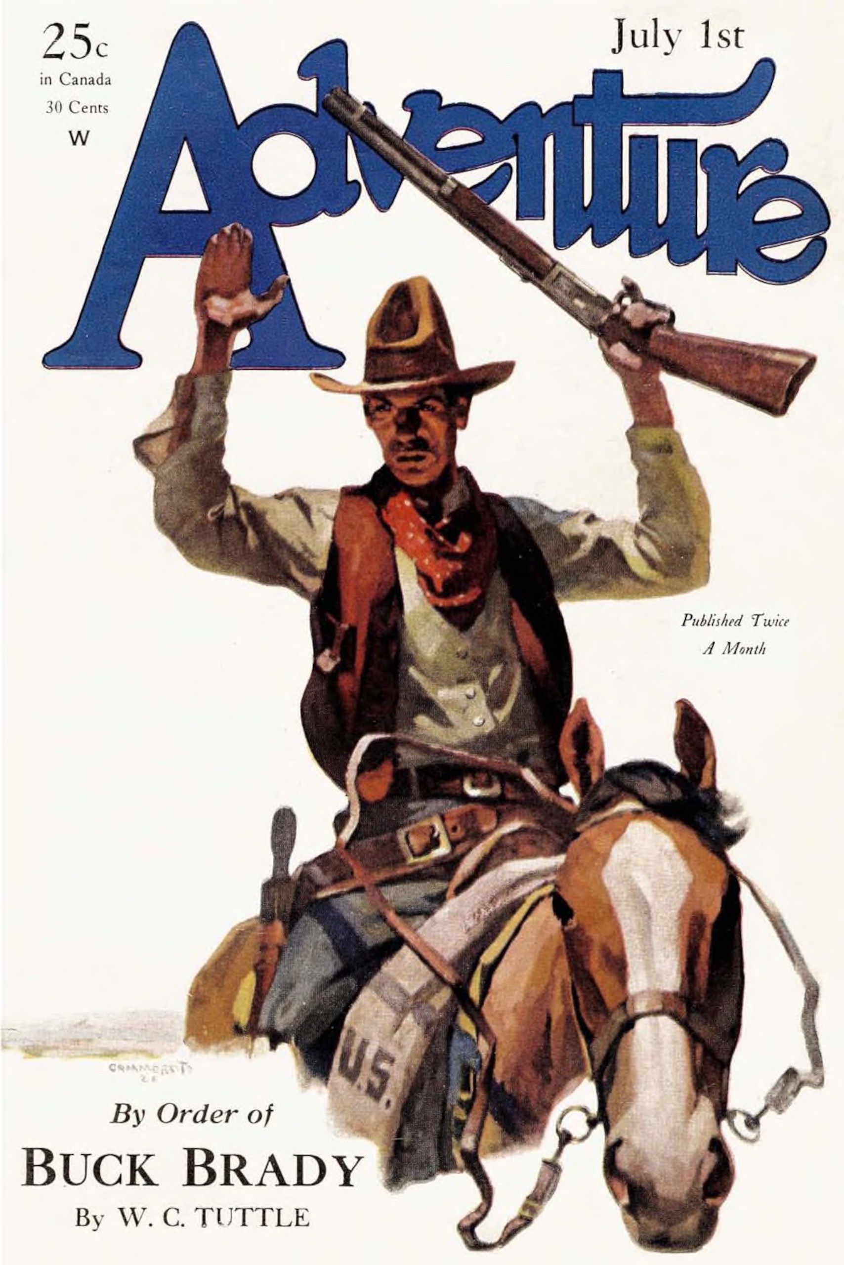 Cover of By Order of Buck Brady