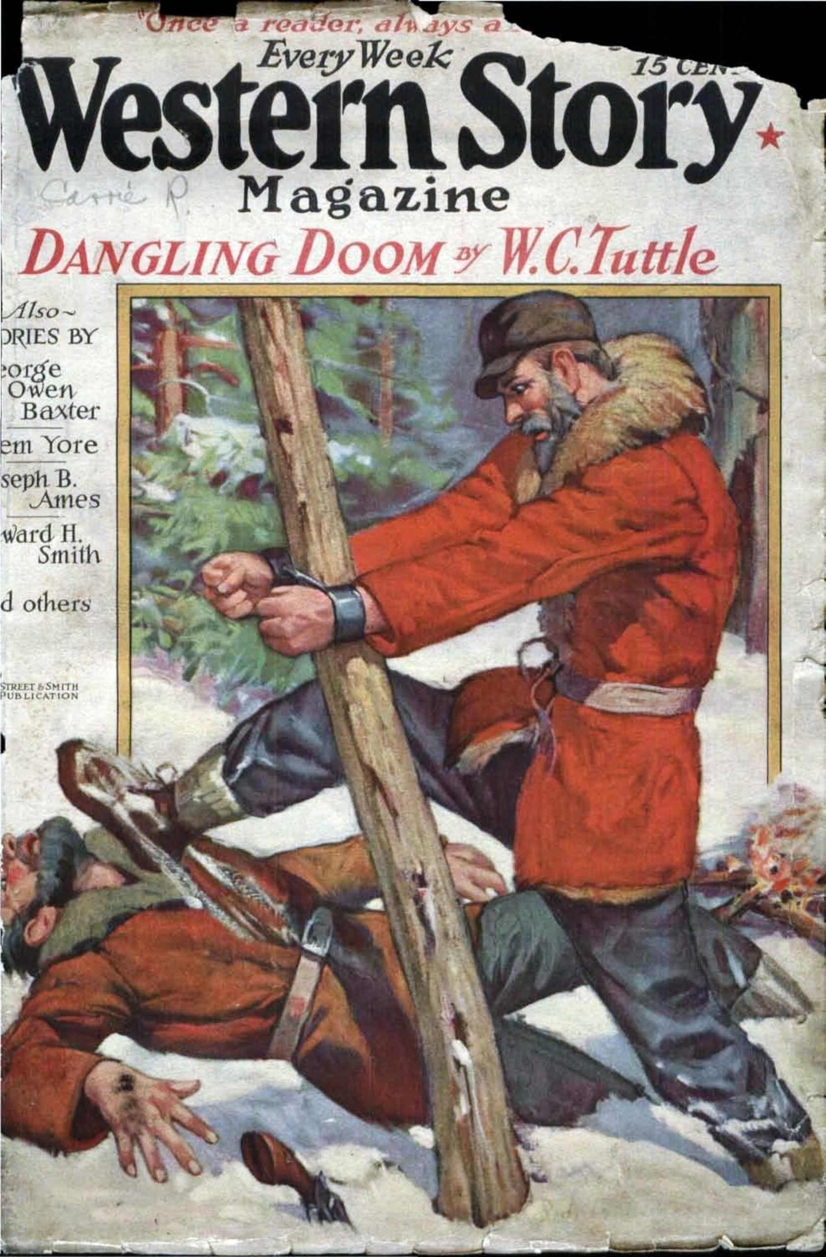 Cover of Dangling Doom