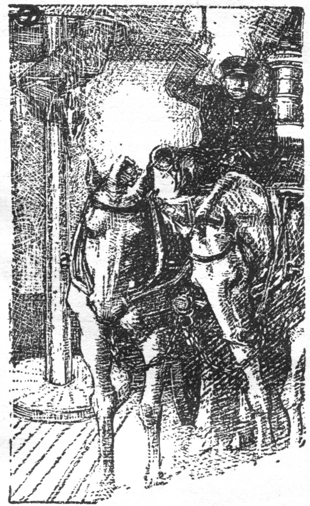 Paddy with his horses