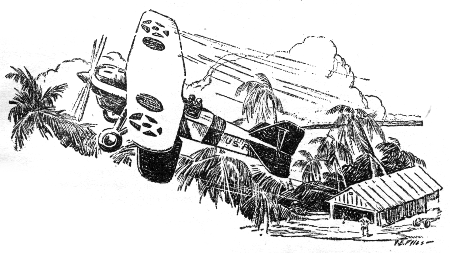 plane flying low across the jungle