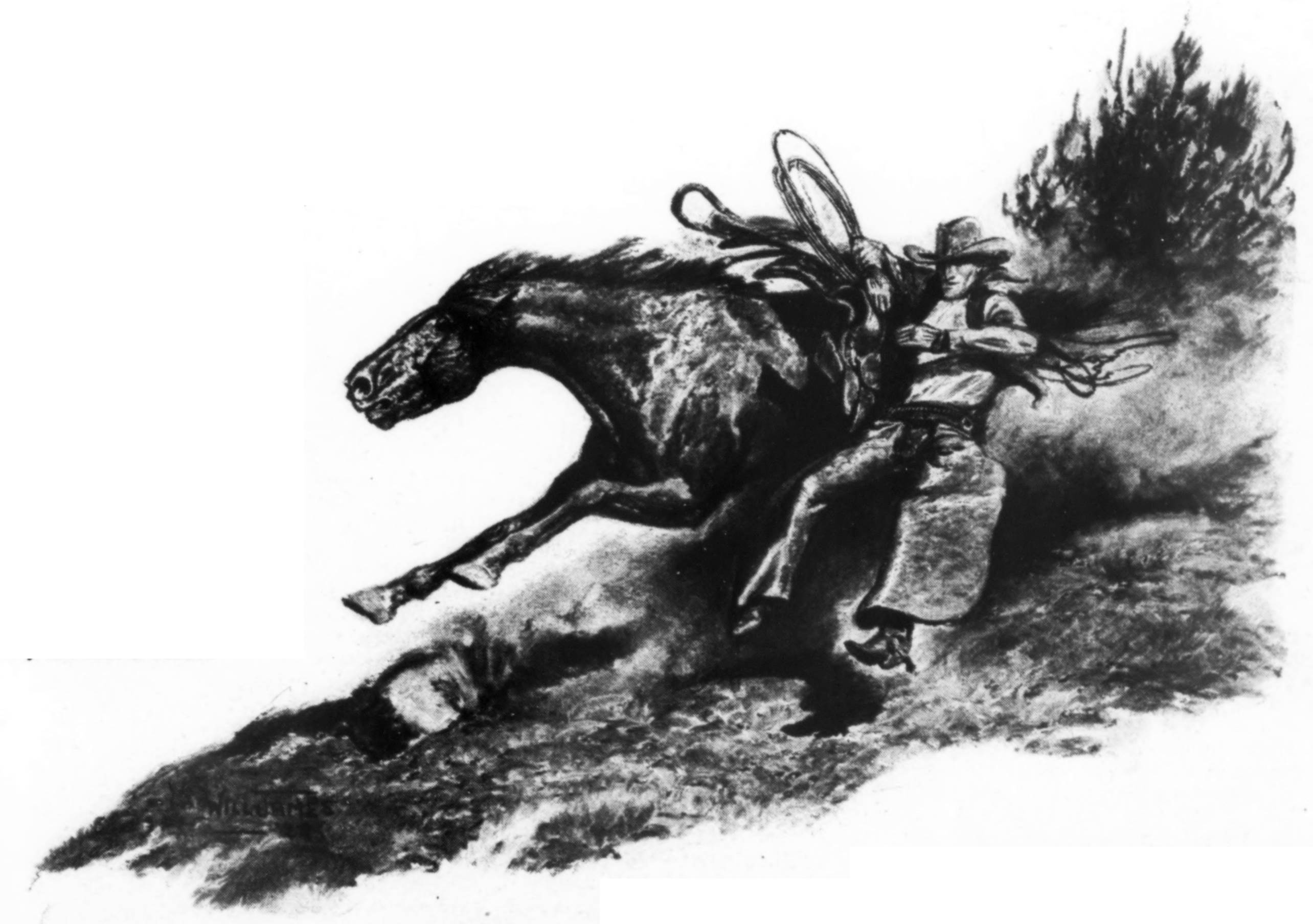 Cowboy sliding off horse