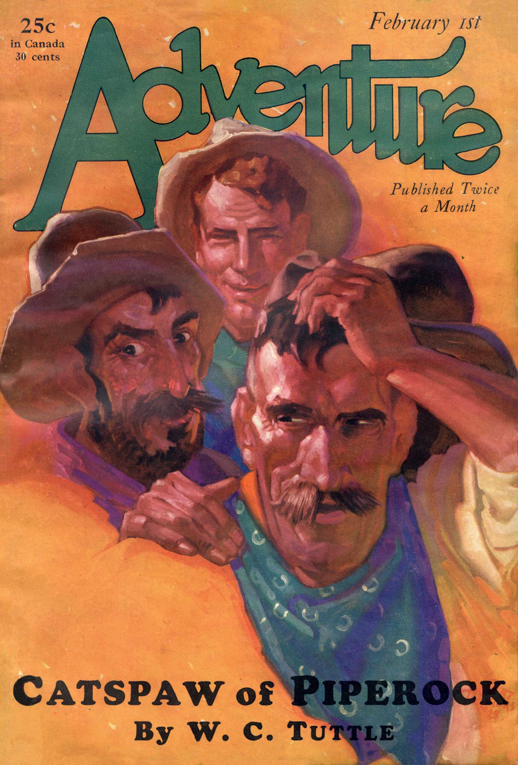 Cover of The Catspaw of Piperock