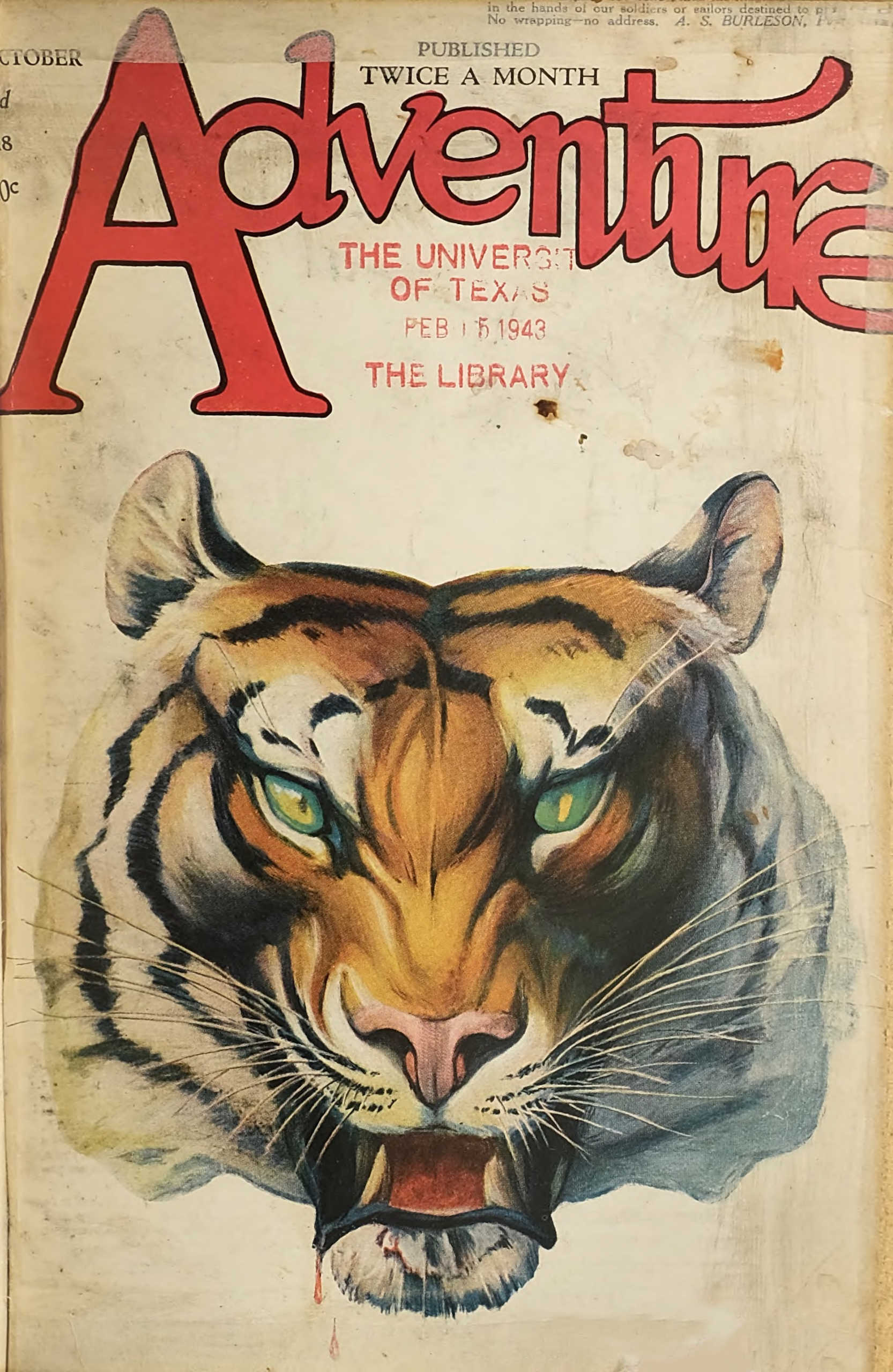 Cover of The Domestication of Dobie