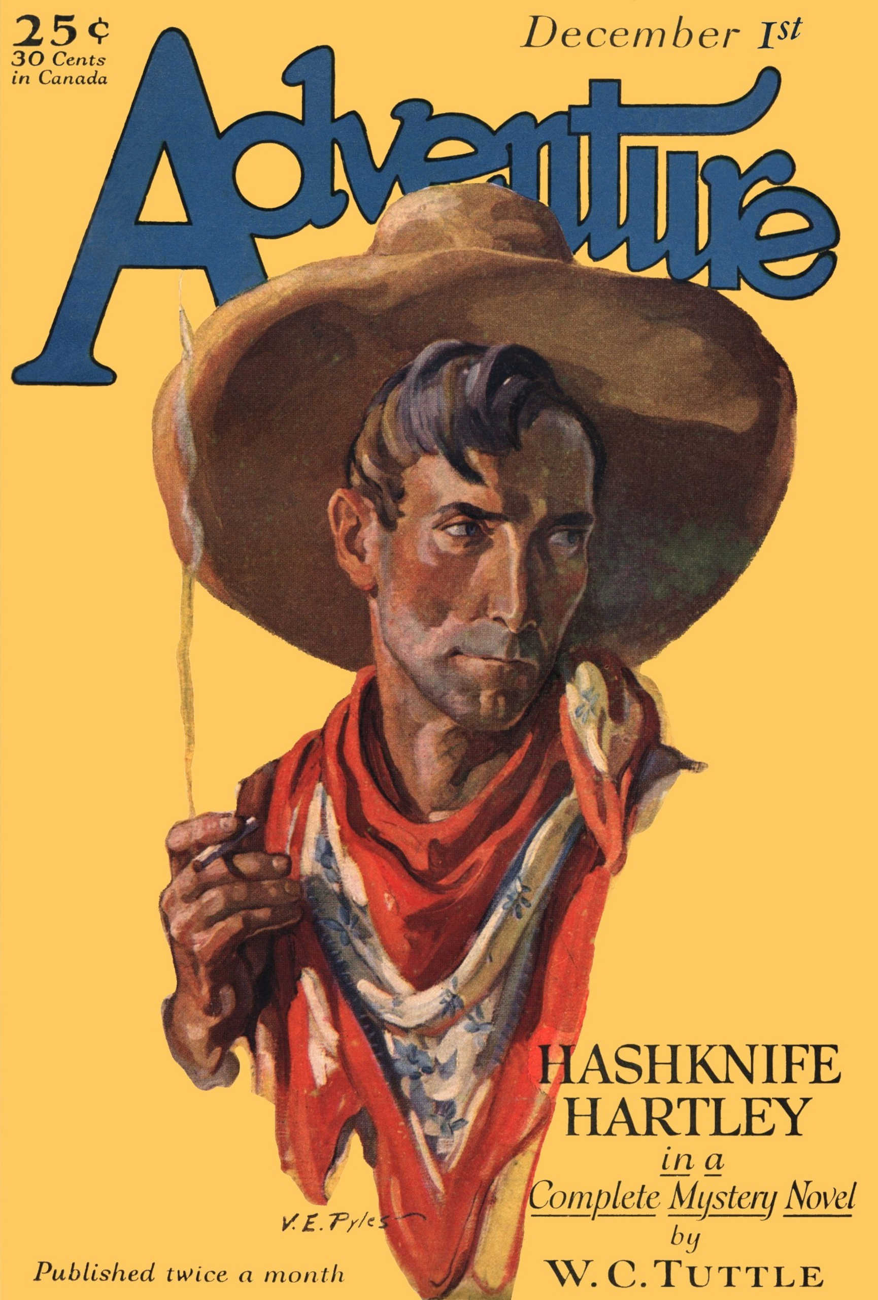 Cover of The Meddler
